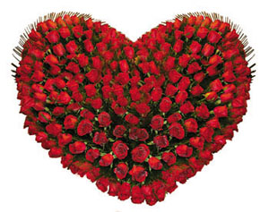 Heart Shape Arrangement of 100 Red Roses