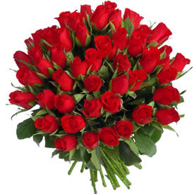 Bunch of 50 Red Roses