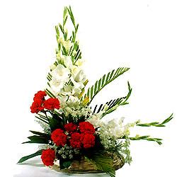 Arrangement of 10 Red Carnation and 10 white Glads