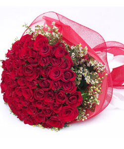 Bunch of 50 Red Roses Wrapped in Net Packing