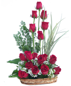 Basket of 18 Red Roses.