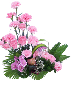 One Side Arrangement of 20 Pink Carnations