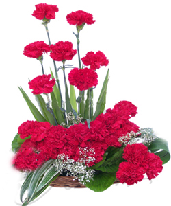 One Side Arrangement of 20 Red Carnations