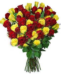 Bunch of 70 Red & Yellow Rose Bunch