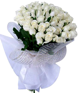 Bunch of 50 White Rose in Net Packing