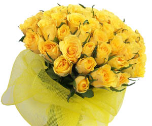 Bunch of 50 Yellow Roses in Net Packing