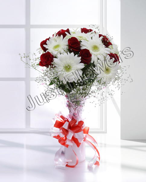12 Red Roses & White Gerbera Bunch in Paper Packing