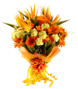 Bunch of 5 BOP, 10 Gerbera & 15 Carnation in Paper Packing