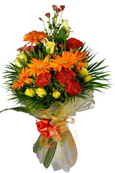 Bunch of 20 Roses & 15 Carnation & 15 Gerbera in Paper Packing